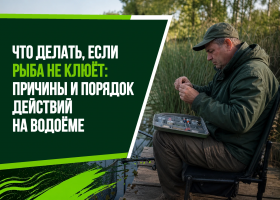 Что делать, если рыба не клюёт: причины и порядок действий на водоёме