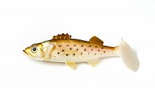 Фото виброхвост  condor crazy bait pek04 размер 100 мм, цвет 06 (3шт)