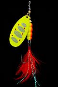 Фото gourmet caterpillar размер 4, вес 10,0 гр, цвет b1 (5шт)